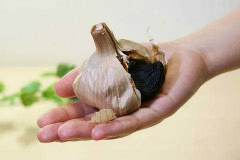 تصویر 4 از سیر سیاه گرگان فله‌ ای با کیفیت ثابت و قیمت مناسب